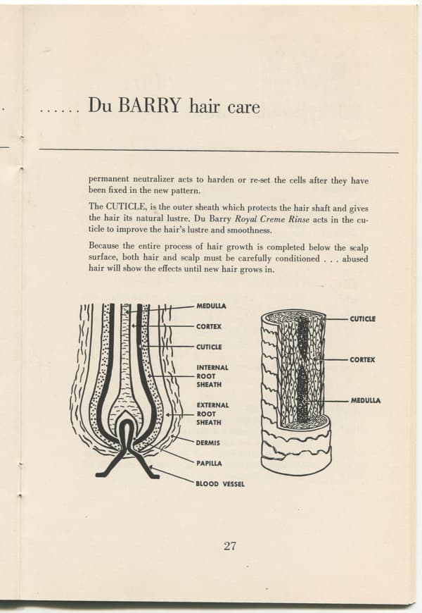 Du Barry Sales Training Manual page 15