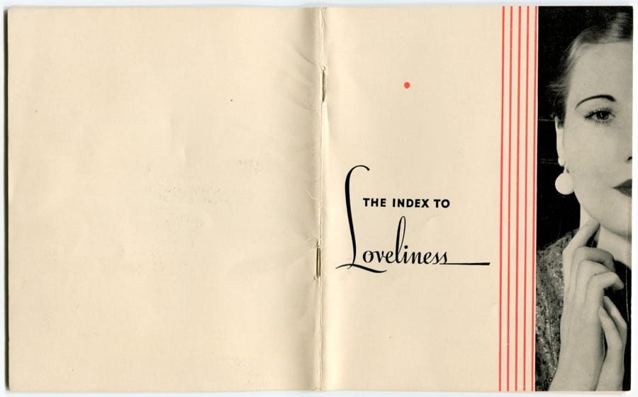 The Index to Loveliness Cover