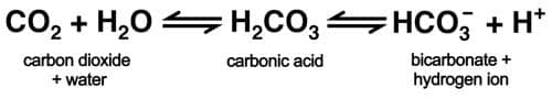 Carbonic acid