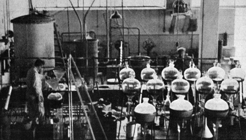 1936 Manufacture of estrone