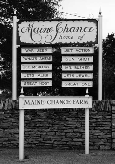 Maine Chance Stables