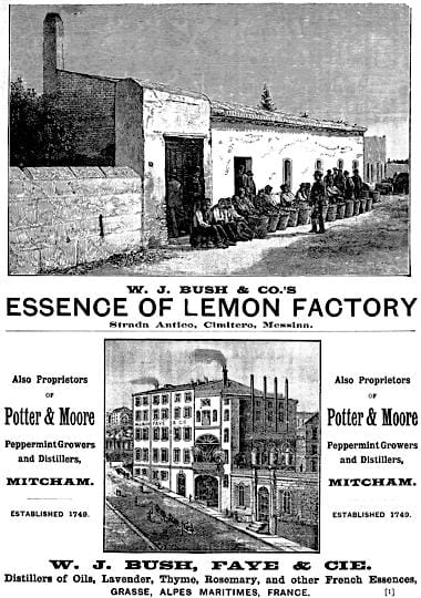 1889 W. J. Bush and Co