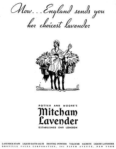 1932 Potter and Moore Mitcham Lavender
