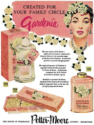 1955 Potter and Moore Gardenia Series