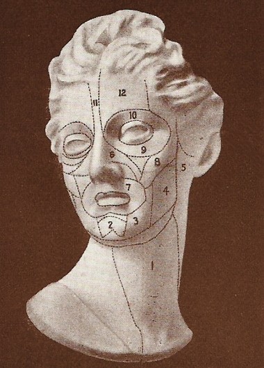 Primrose House chart of muscle lines